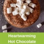 thermomix hot chocolate from top, in mug with marshmallows