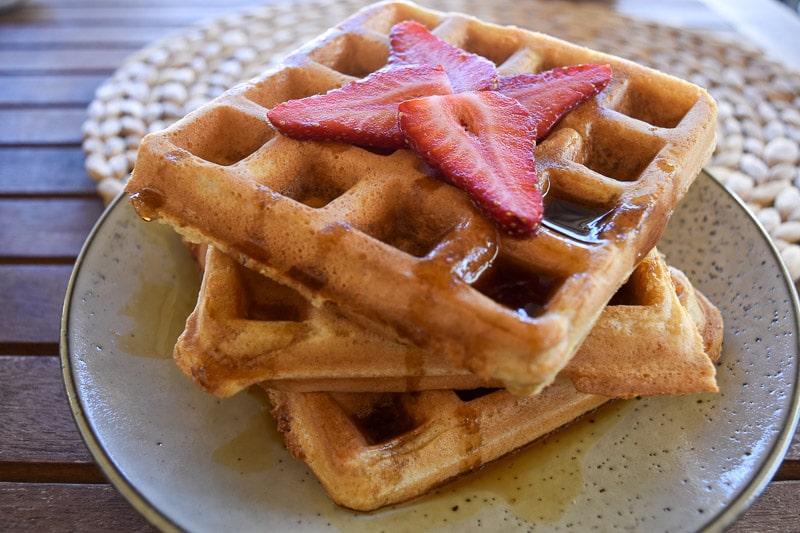 dairy free waffles thermomix