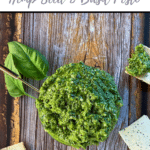 text 'thermomix hemp seed and basil pesto' at top, image of pesto with basil leaves and crackers around on wooden backdrop. Grey strip along bottom with thermobexta logo in it