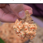 recipe title up top, thermobexta logo underneath image which is a close up of hand holding thermomix roast capsicum dip on cracker with blurred background