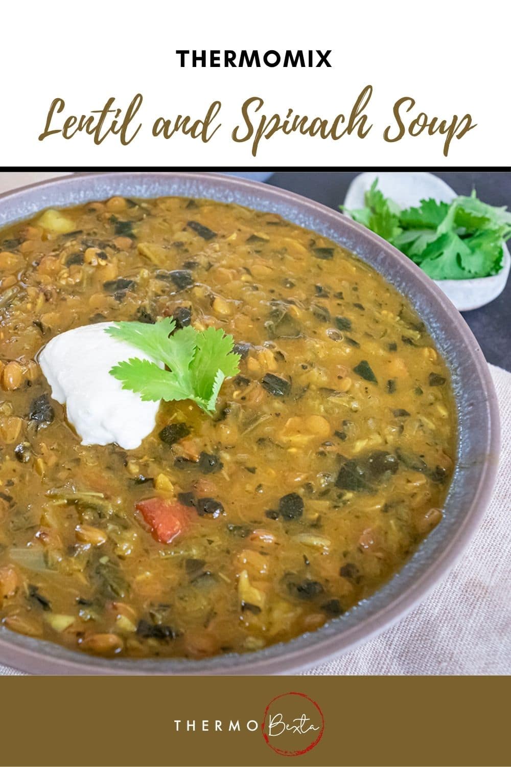 Lentil and Spinach Soup Thermobexta